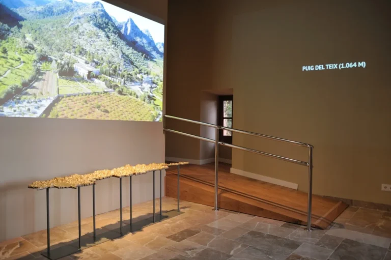 Centro de interpretación y visitantes de Raixa, Sede Institucional del Consorcio Serra de Tramuntana Patrimonio Mundial