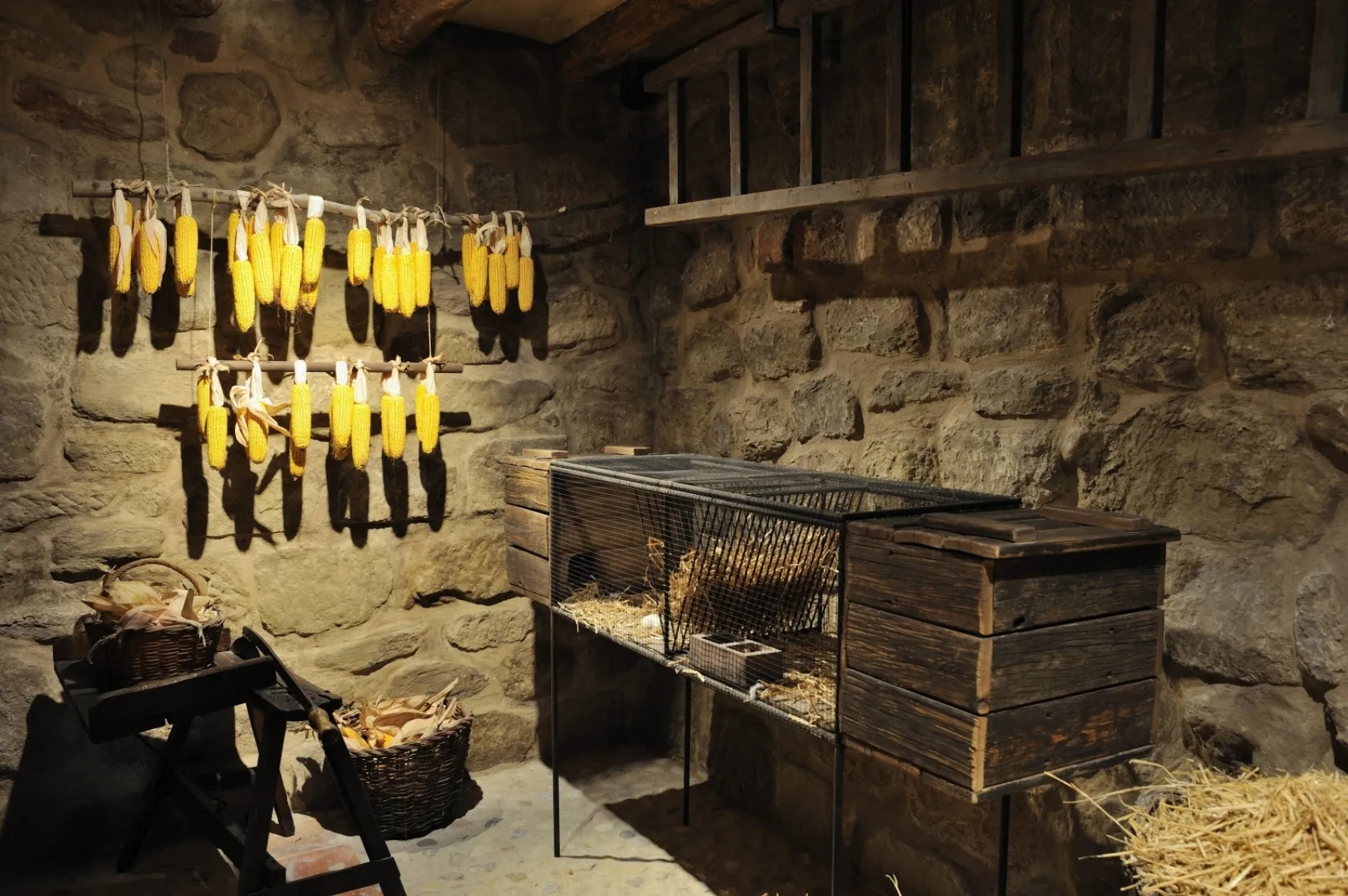 Casa Museu Saturnino López Novoa. Varis Arquitectes