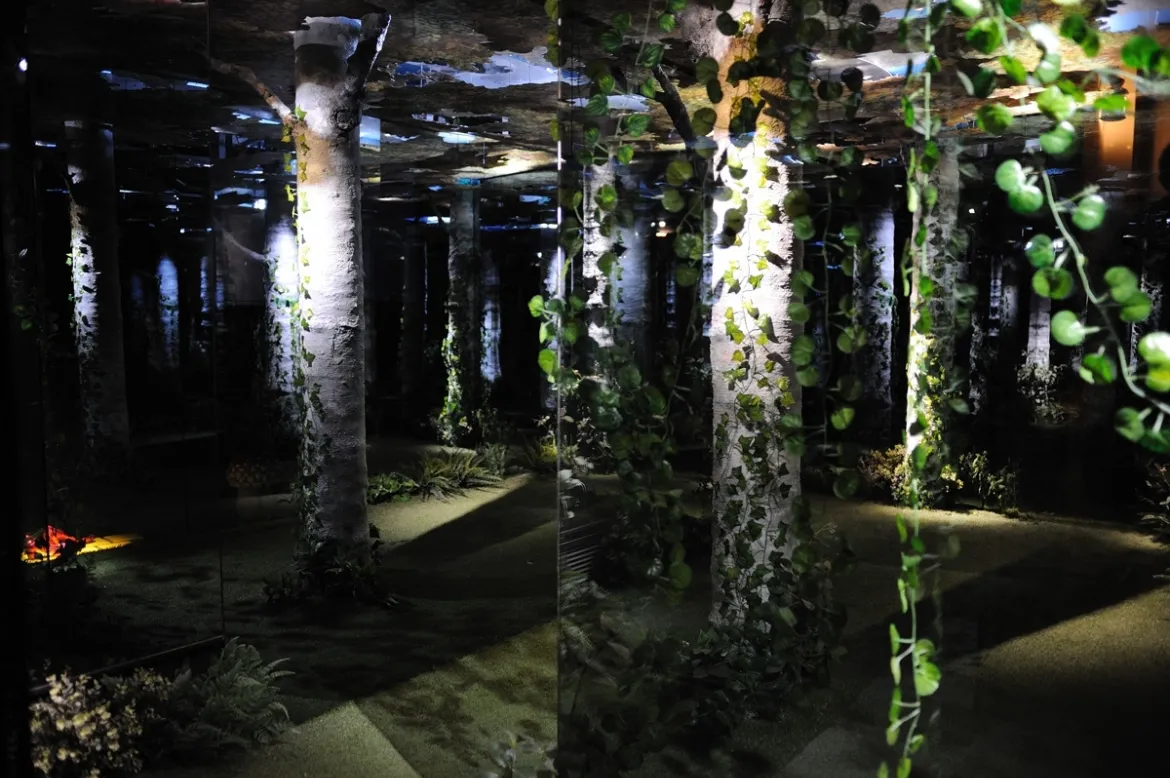 Castell dels Contes Varis Arquitectes