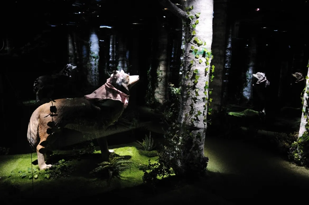 Castell dels Contes Varis Arquitectes