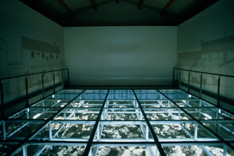 Centre Cultural Son Real