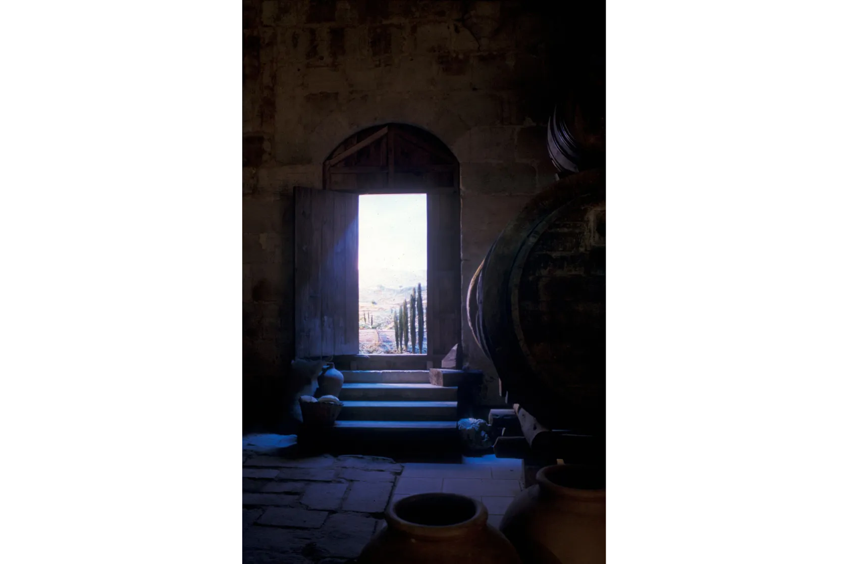 El Món del Císter a Catalunya. Varis Arquitectes