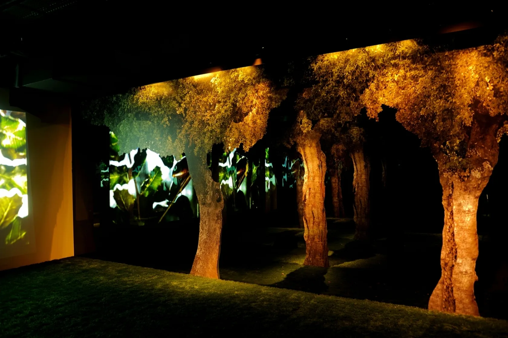 Jamón Experience. Varis Arquitectes