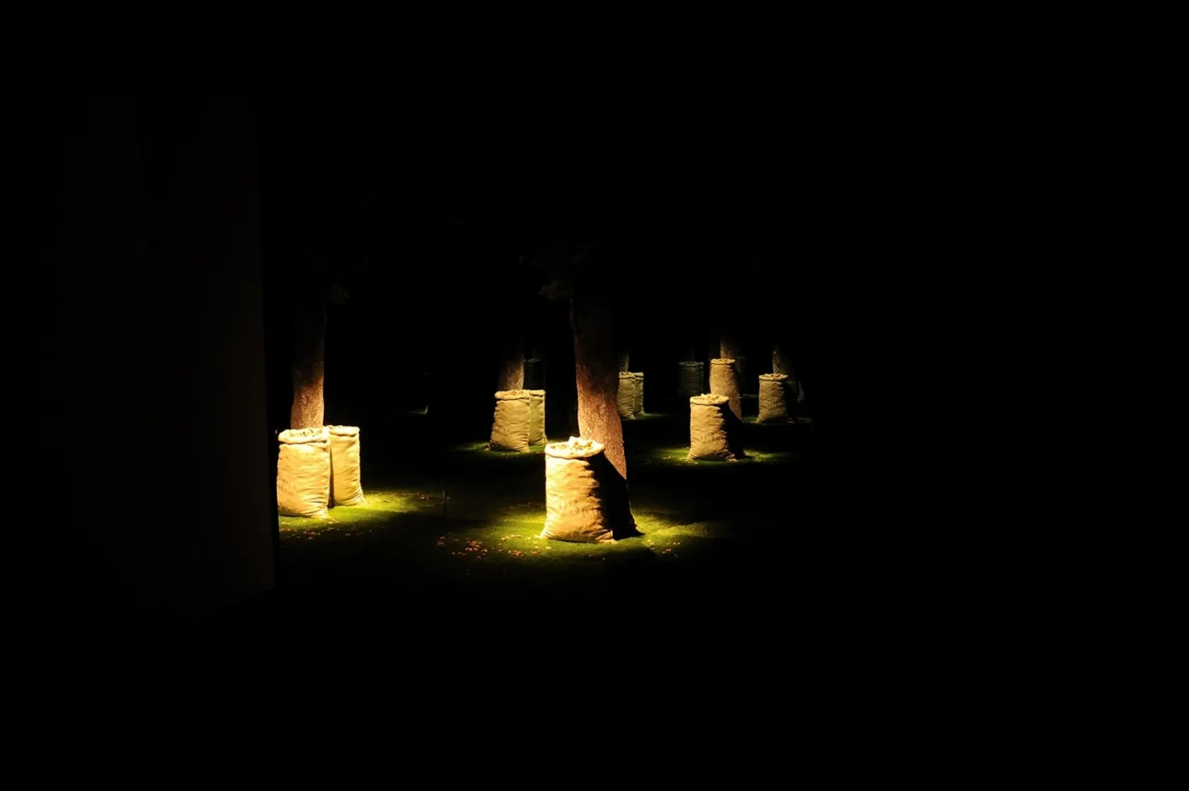 Jamón Experience. Varis Arquitectes