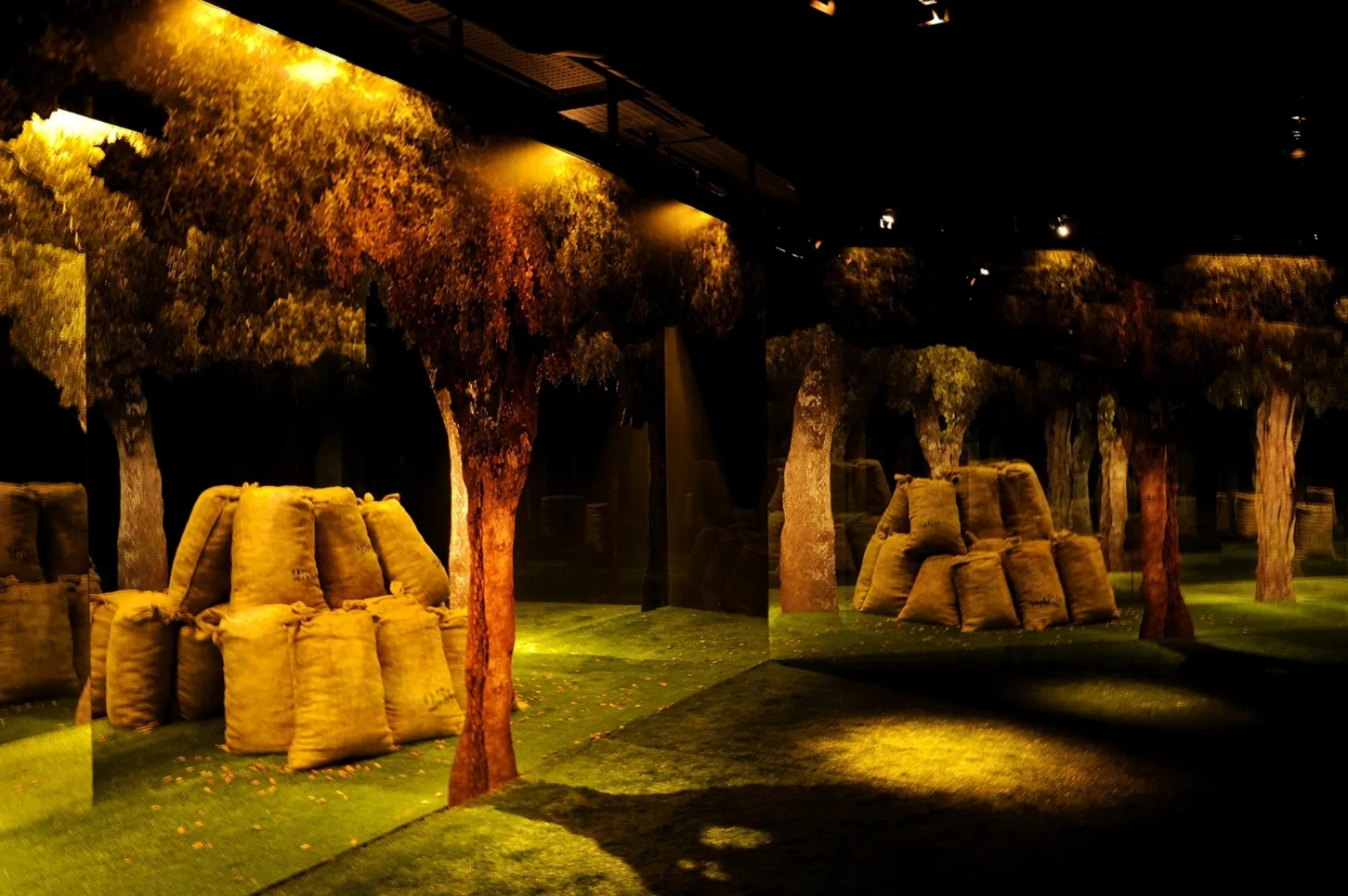 Jamón Experience. Varis Arquitectes