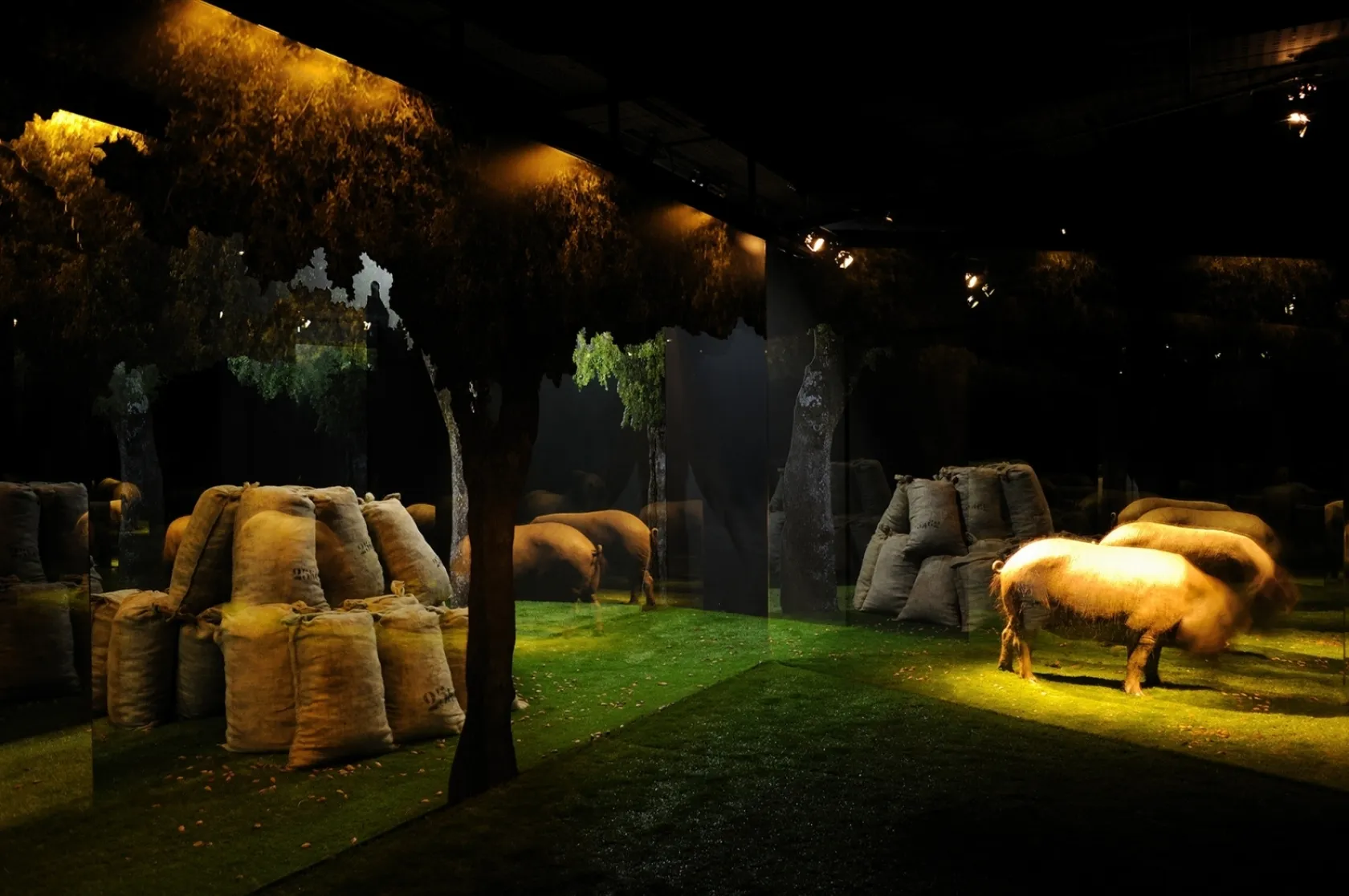 Jamón Experience. Varis Arquitectes