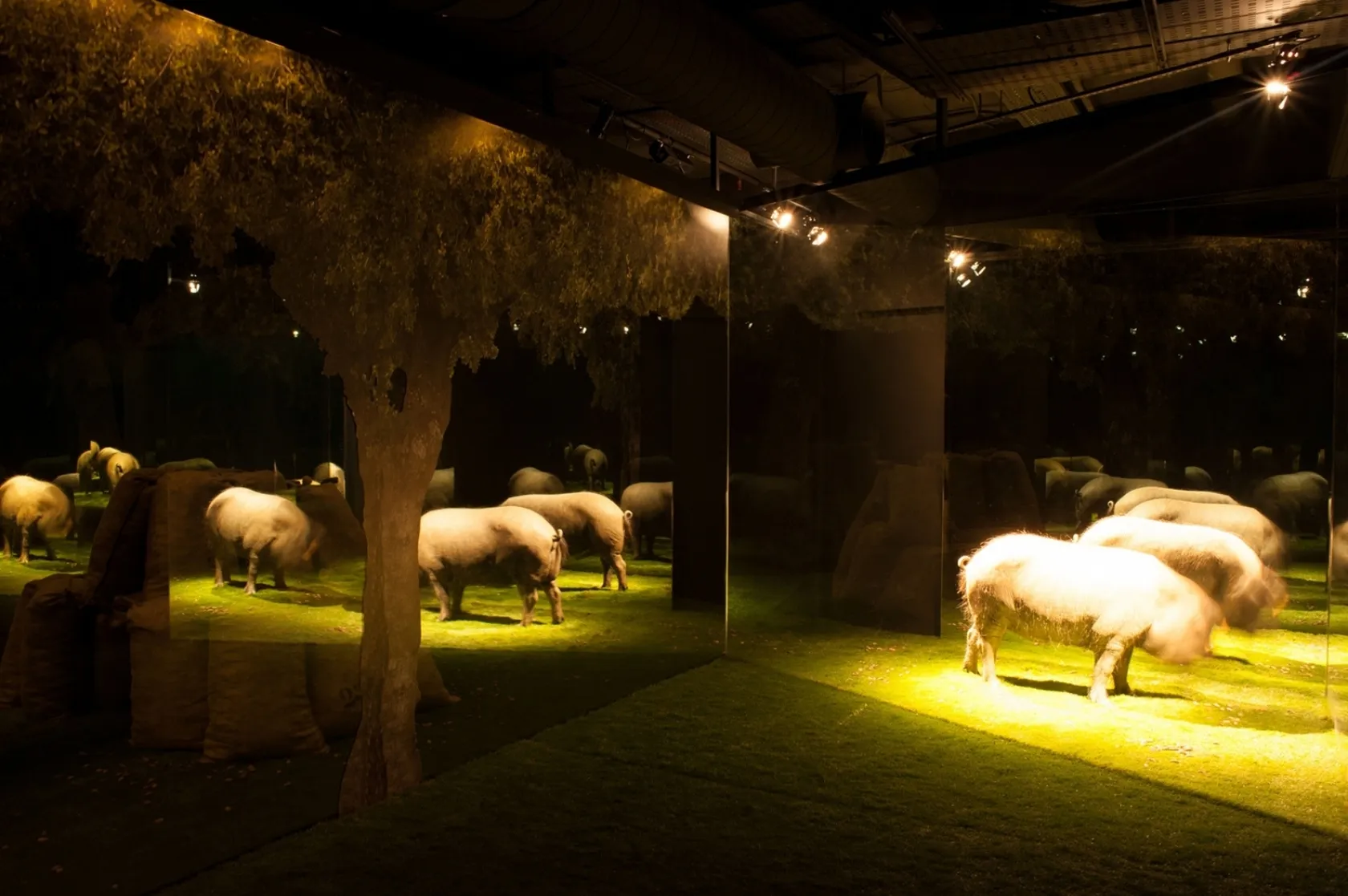 Jamón Experience. Varis Arquitectes