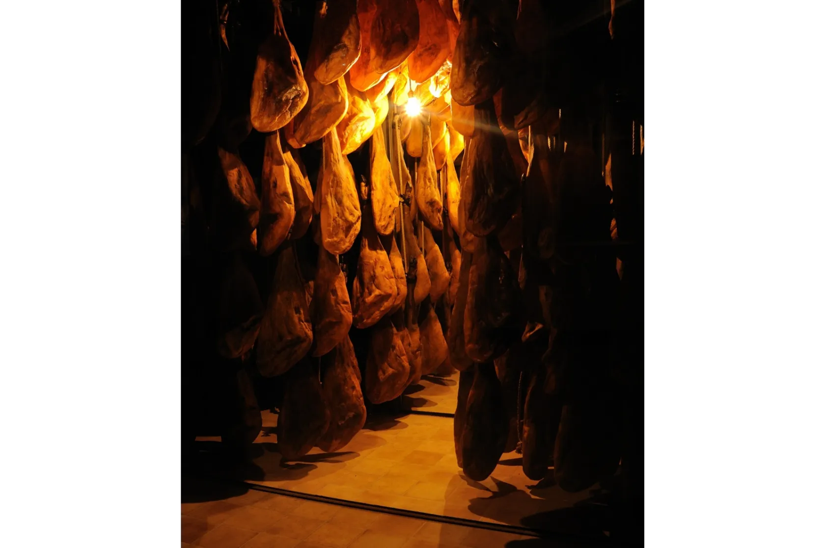 Jamón Experience. Varis Arquitectes