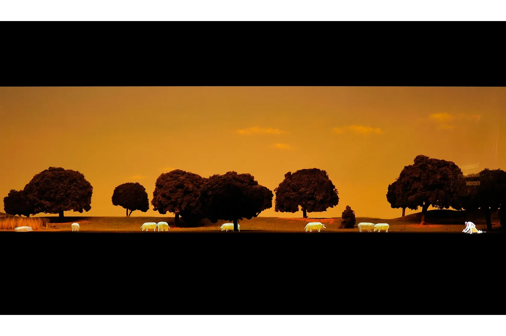 Jamón Experience. Varis Arquitectes