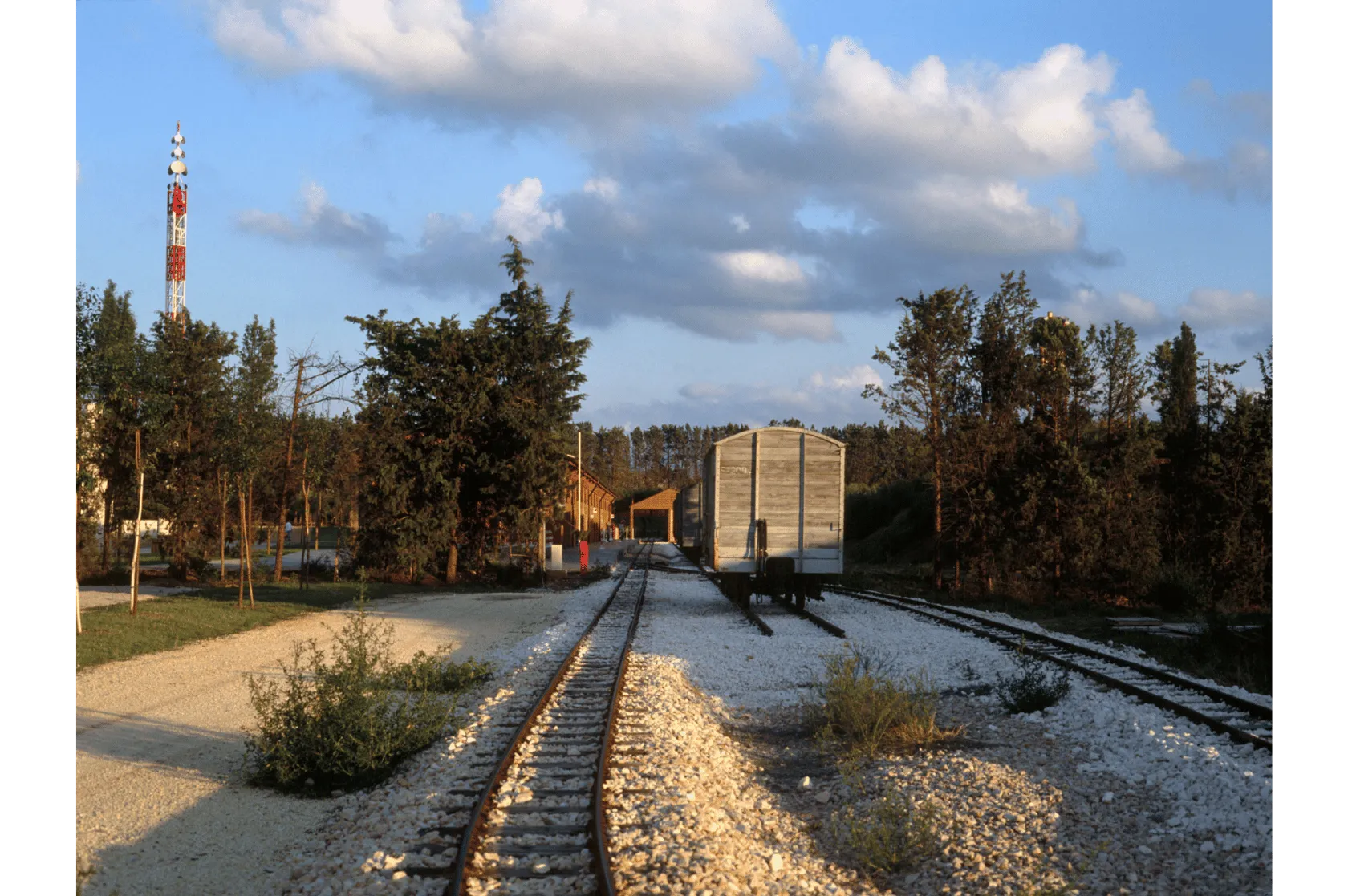 Parc temàtic Felifonte Varis Arquitectes