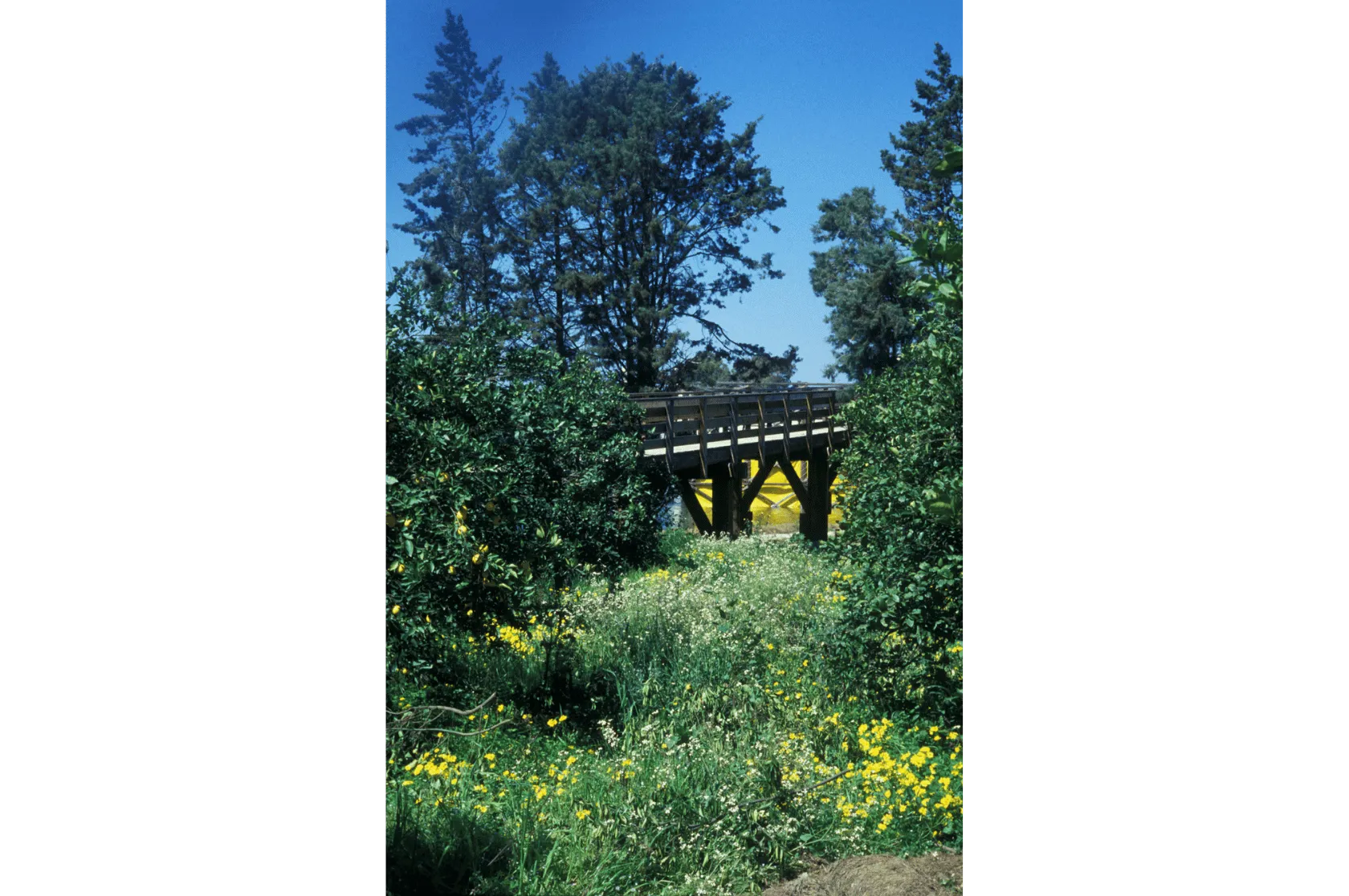 Parc temàtic Felifonte Varis Arquitectes