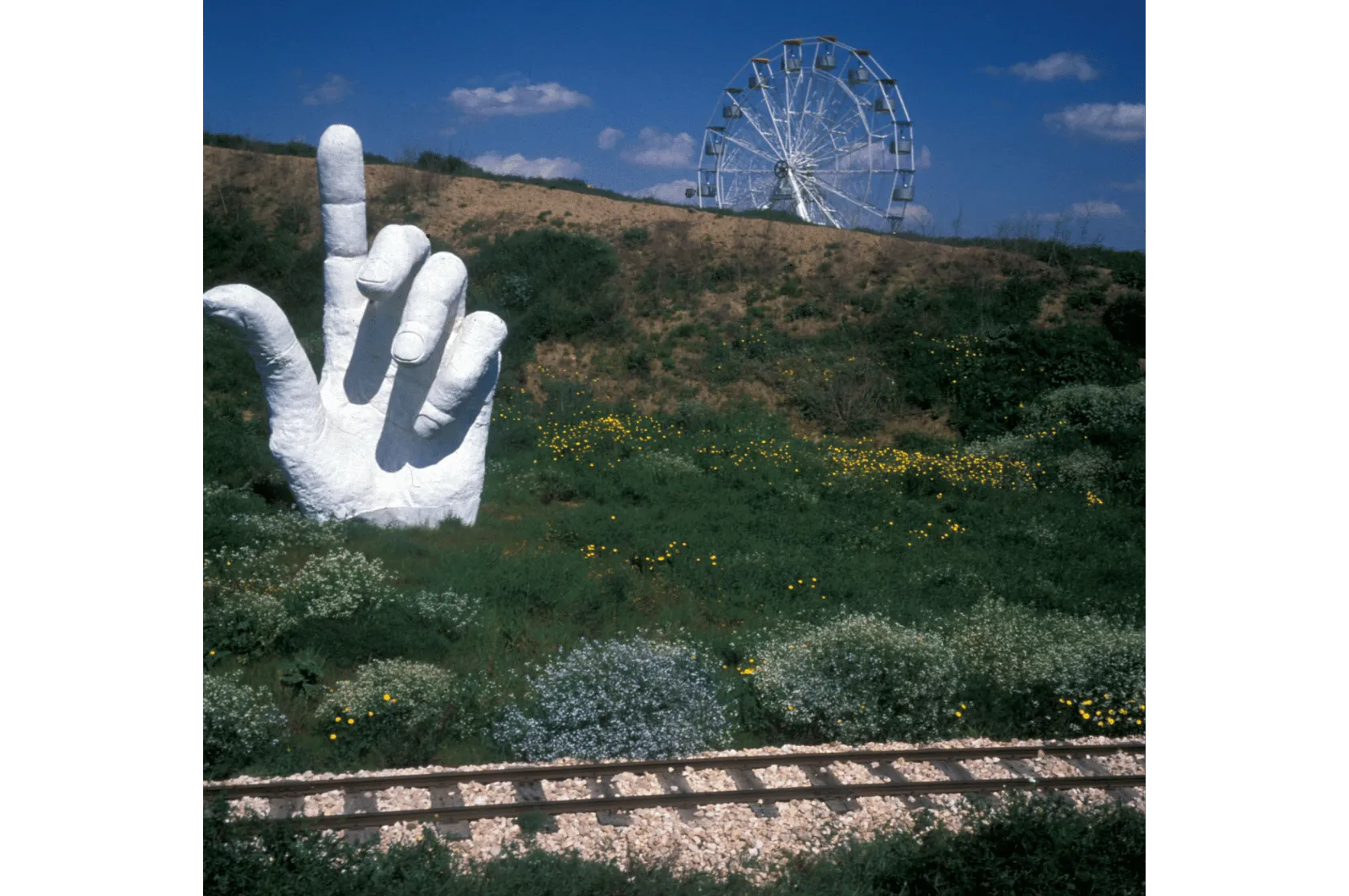 Parc temàtic Felifonte Varis Arquitectes