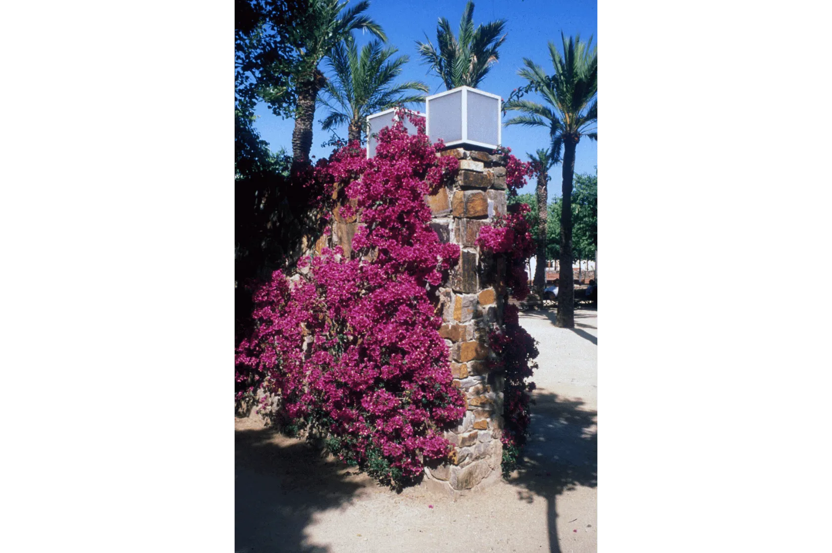 Parc Central de Viladecans Varis Arquitectes