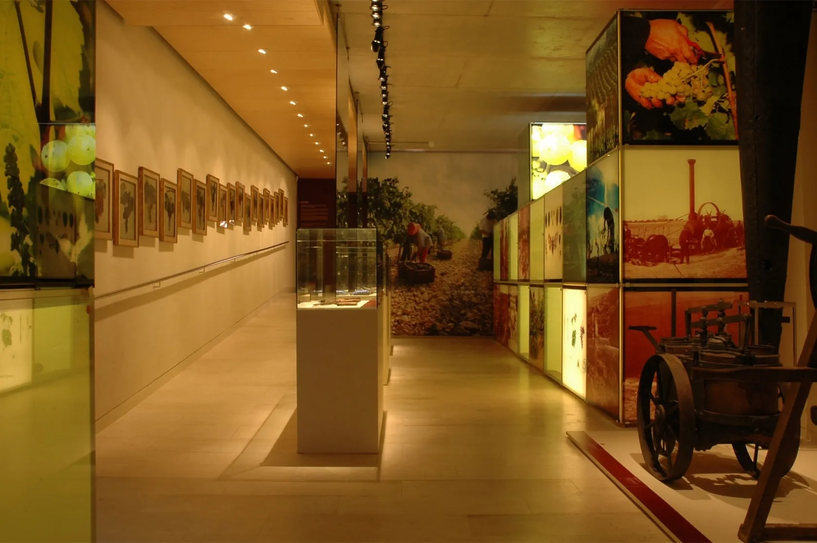 Vinseum - Museu de les cultures del vi. Varis Arquitectes