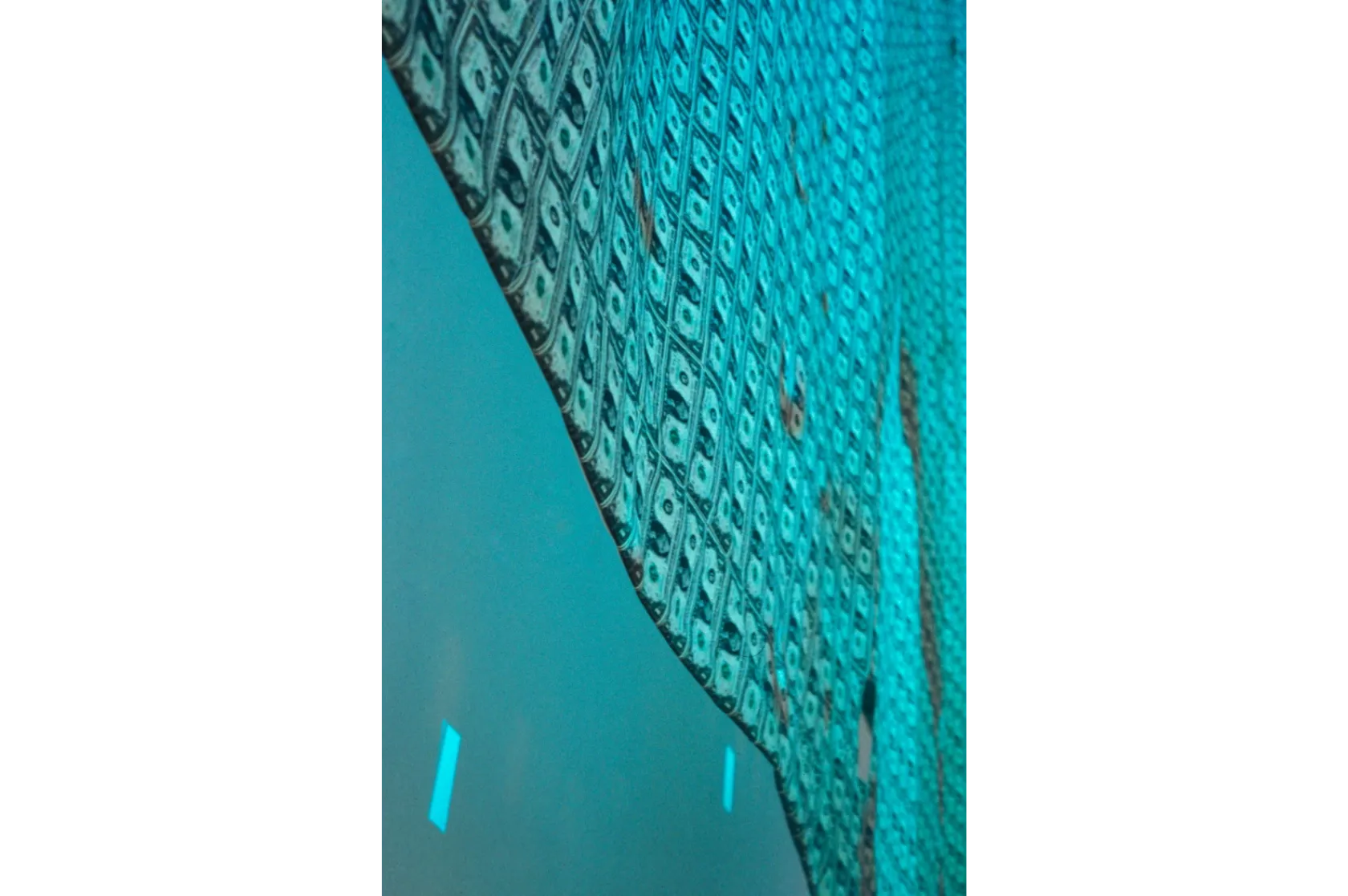 Andy Warhol. El ojo mecánico. Varis Arquitectes