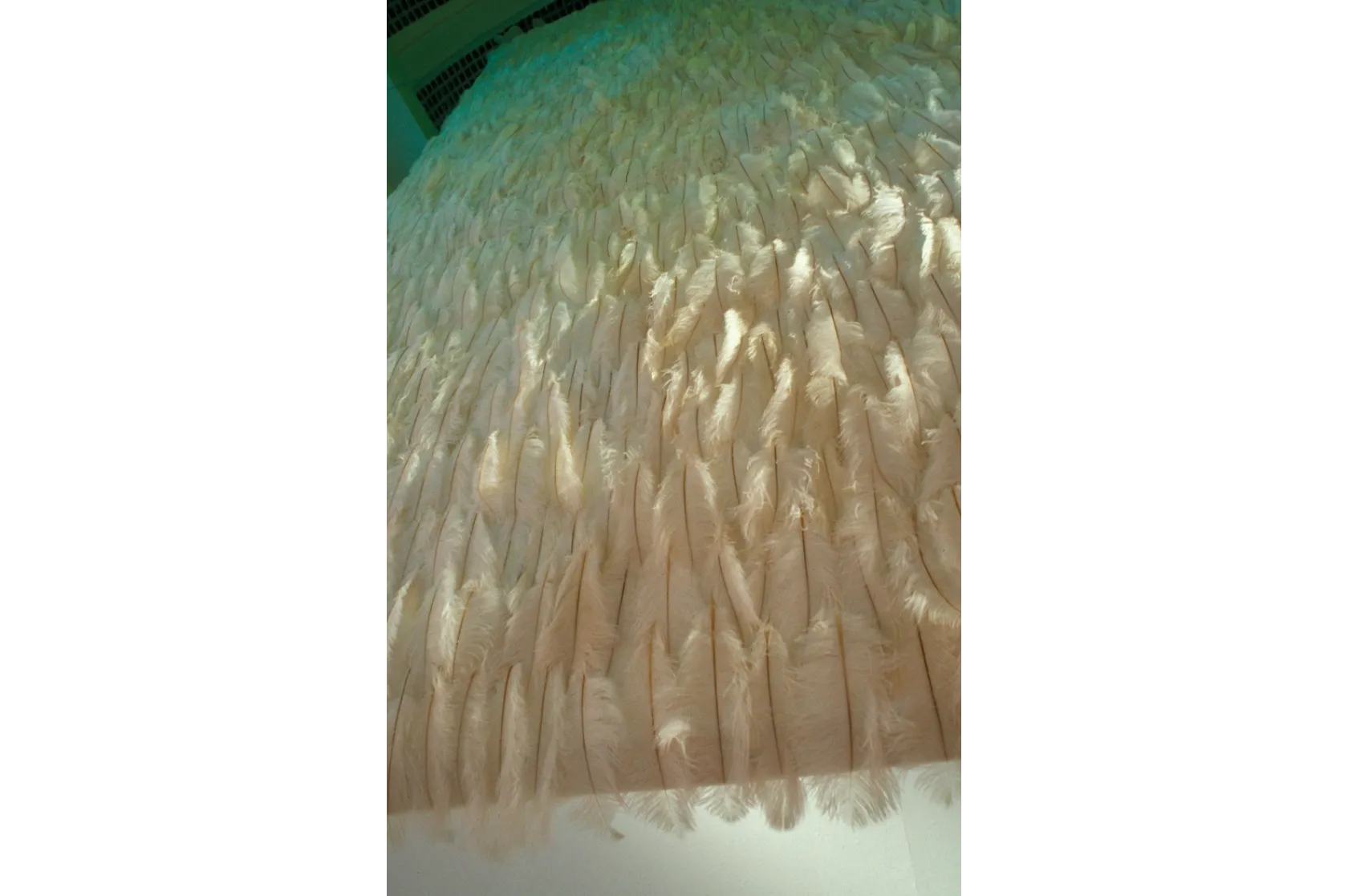 Andy Warhol. El ojo mecánico. Varis Arquitectes