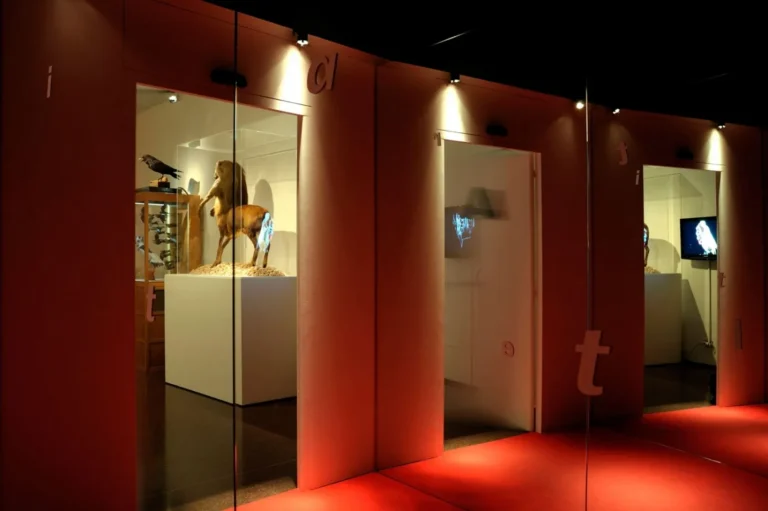 Figures del Desdoblament