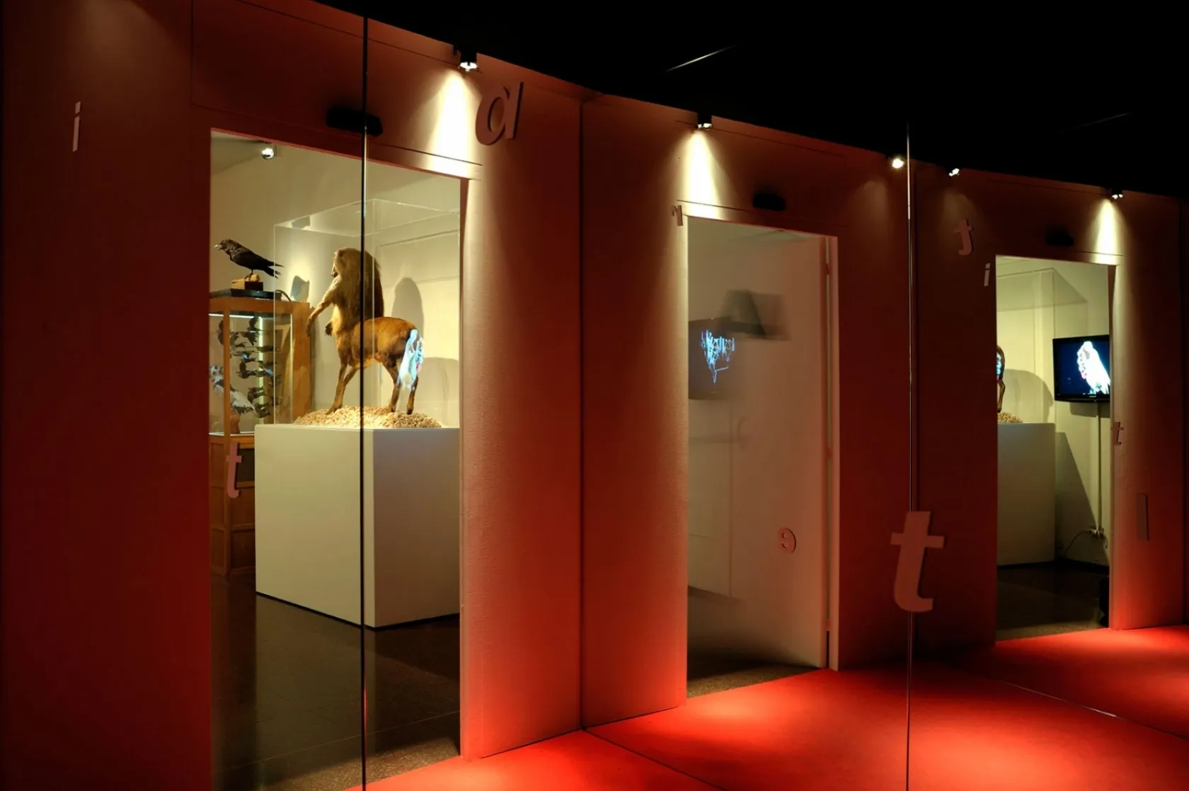 Figures del Desdoblament. Varis Arquitectes