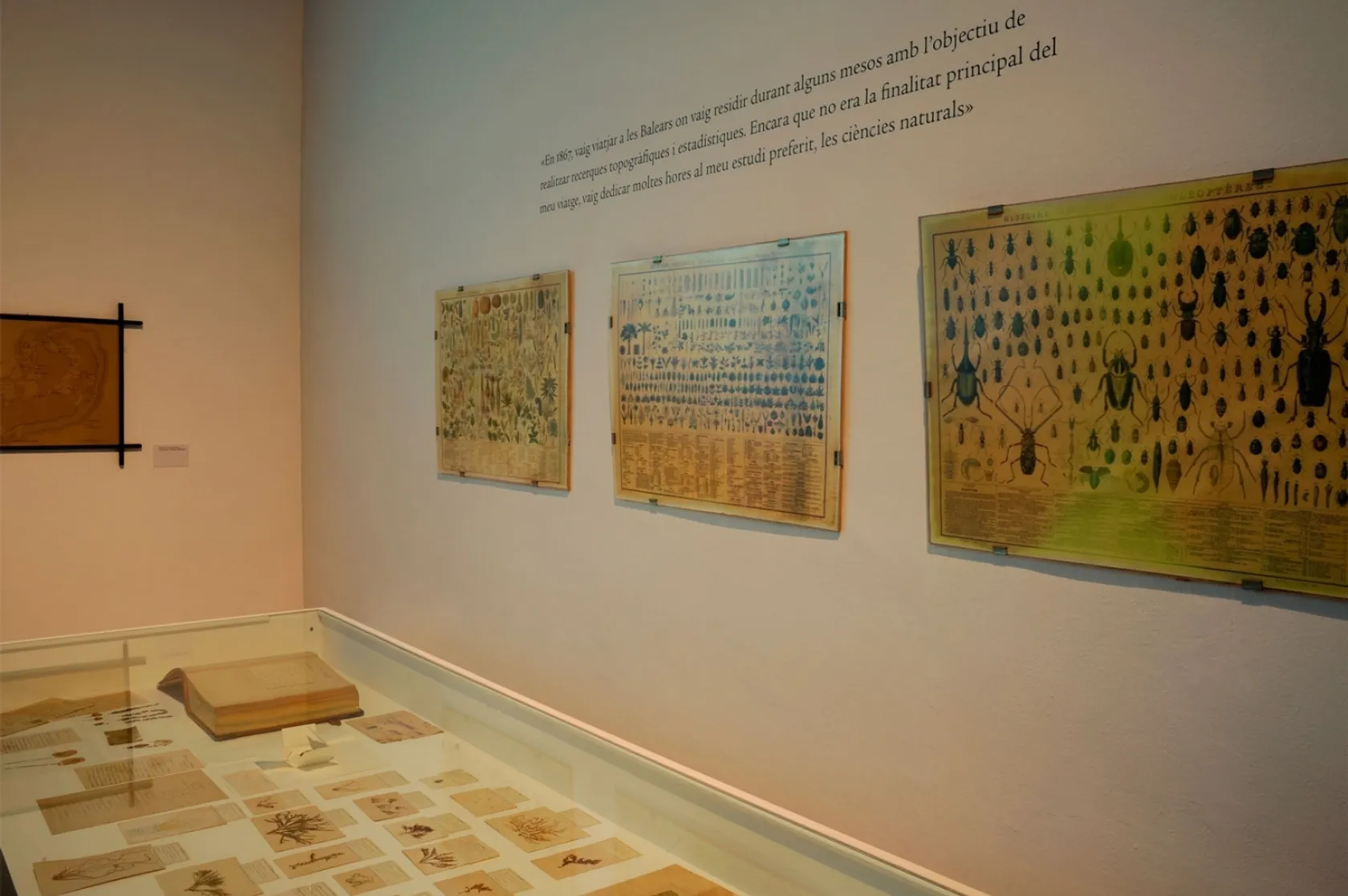 Jo, l’Arxiduc. El desig d’anar més lluny. Varis Arquitectes.